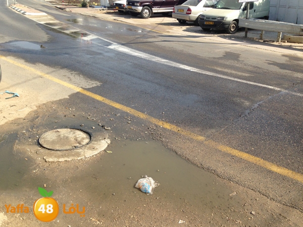 mjarym7atalud504 (2).JPG